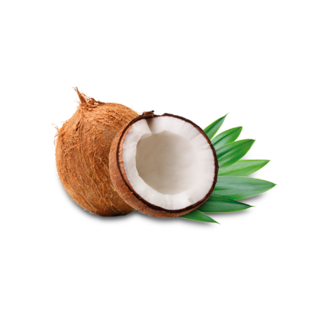 Coconut Oil — Deep Moisturising Hair Ingredient