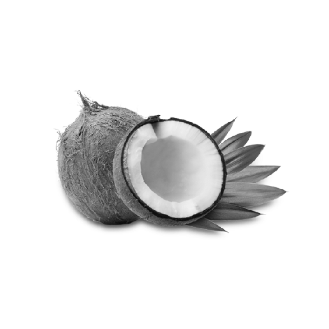 Coconut Oil Ingredient