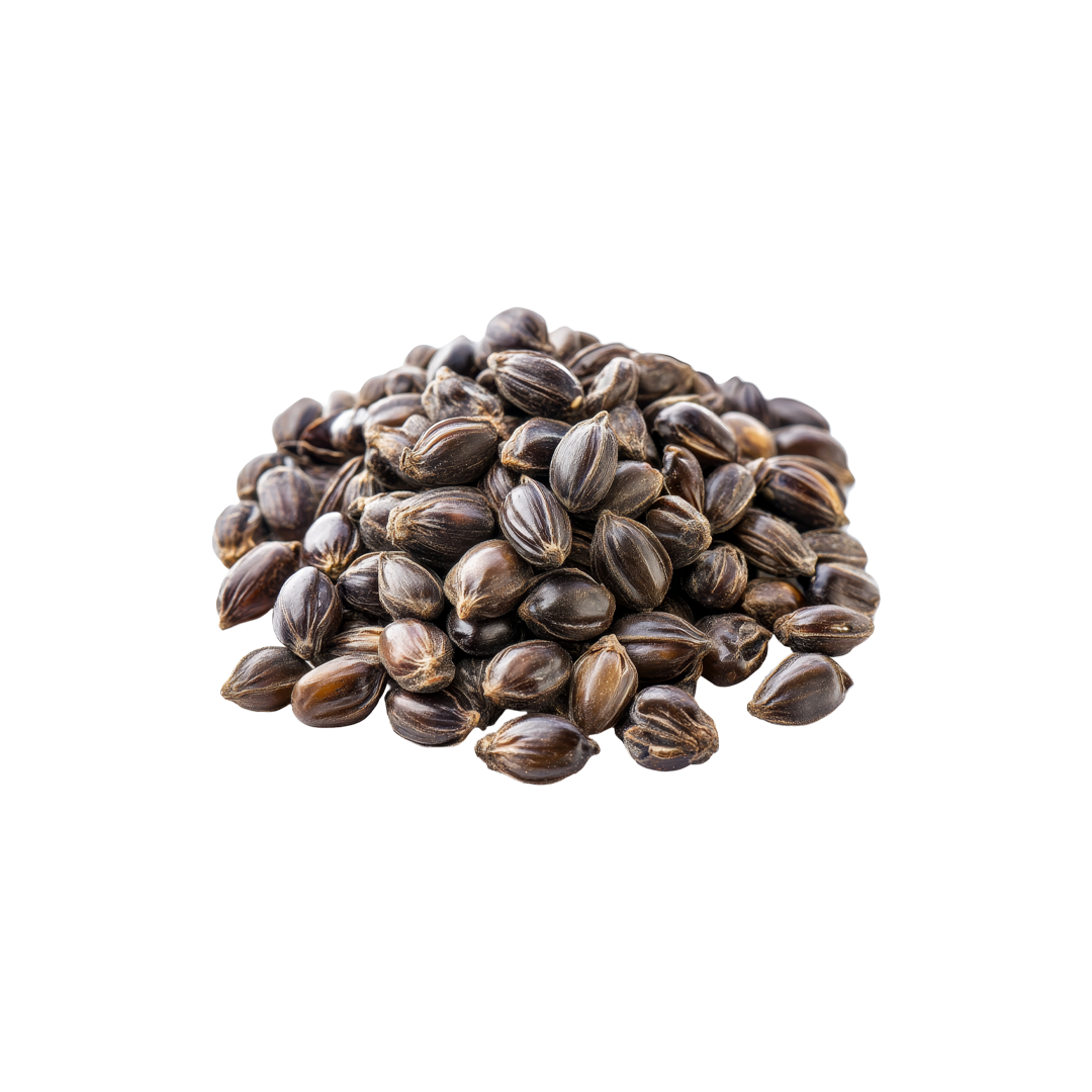 Castor Oil — Natural Hair Growth Booster